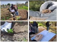 Dia Mundial da Vida Selvagem 2026