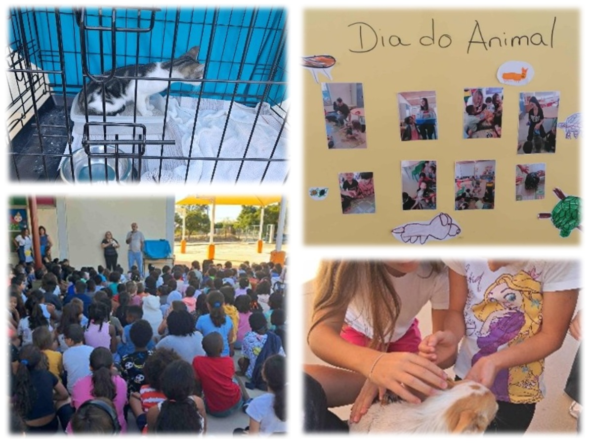 collage diadoanimal2025loios
